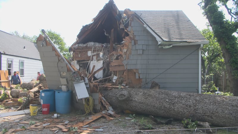 Family unharmed as Wednesday night's severe weather topples tree onto house
