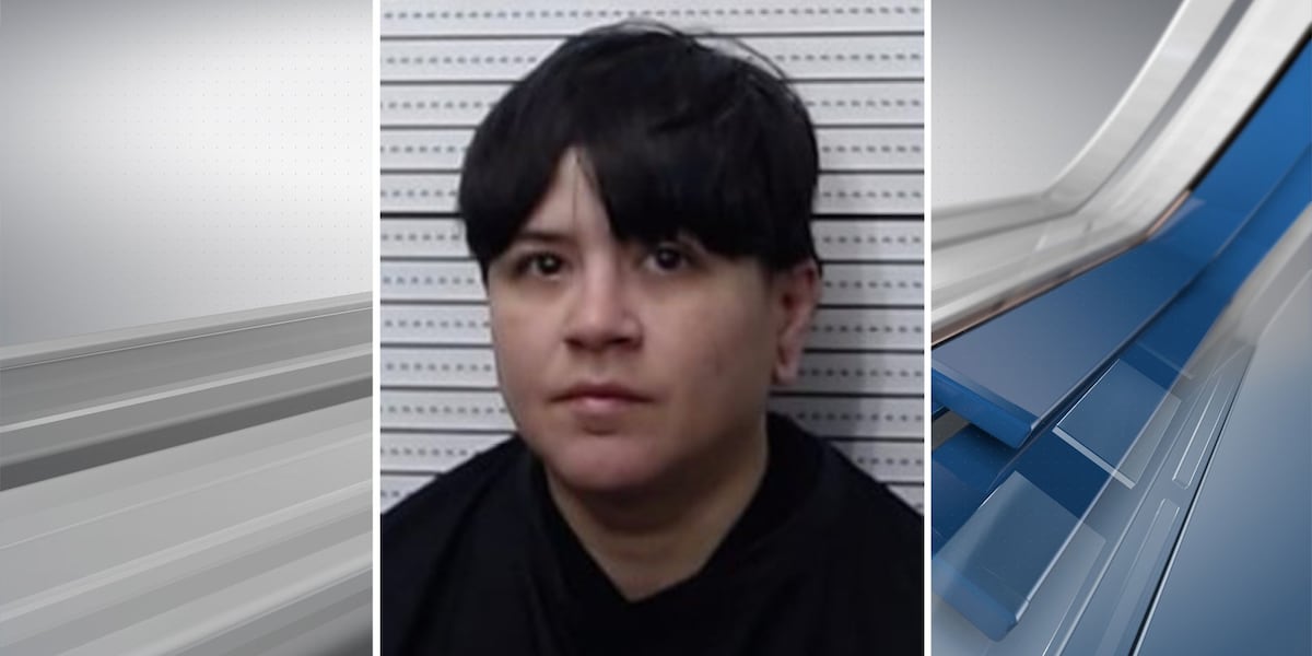 Addison Ransom Woman arrested in Denison, accused of evading police, assaulting officer