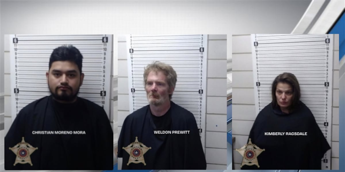 Deputies with the Grayson County Sheriff’s Office made several arrests ...