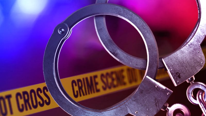 Man arrested on felony assault charge in Whitewright