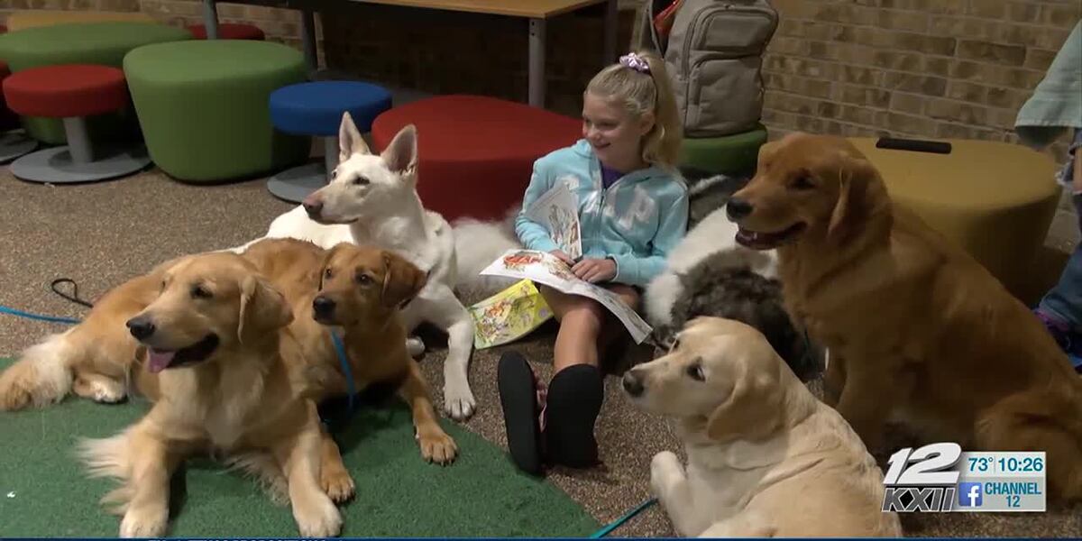 Sherman Public Library helps children gain confidence reading with ...